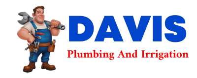 Trusted plumber in VIOLA